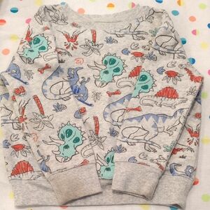 Jumping Beans Dino Sweater